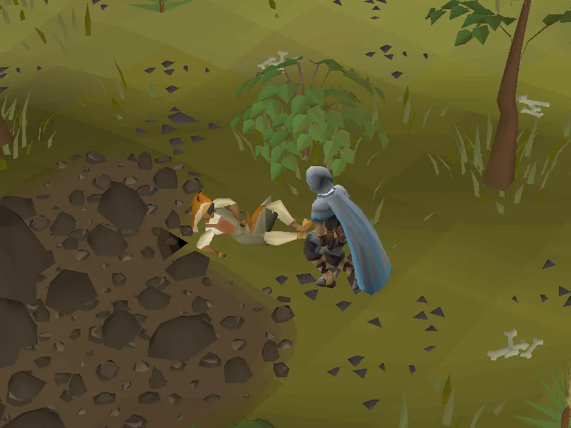 At First Light — OSRS Wiki quest image
