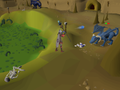 A safespot for two dragons found in the Ogre Enclave.
