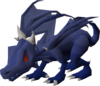 Baby blue dragon
