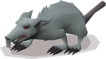 A giant rat variant.
