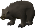 Grizzly bear, level 42