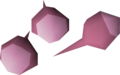 Three pink rose seeds
