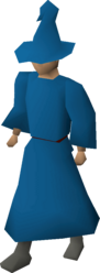 A player wearing blue wizard robes.