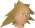 Chathead image of Sassilik