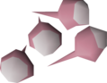 Four white rose seeds