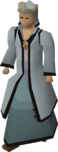 A player wearing 3rd Age mage robes.