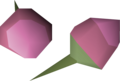 Two pink orchid seeds