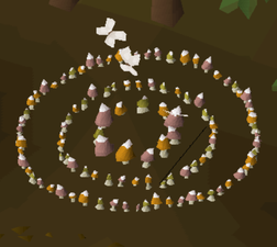Orange Fairy ring, shared by AJP, AKS, BKQ, and CKQ.