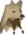 Chathead image of Artimeus