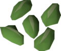 Five vine seeds