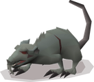 A giant rat variant.