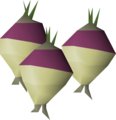 Three shrunk ogleroots