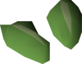 Two vine seeds