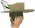 Chathead image of Gerrant