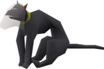 An unused model of Neite, wearing a wedding veil at her wedding.