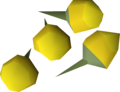 Four yellow orchid seeds