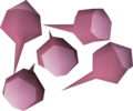 Five pink rose seeds
