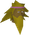 Chathead image of Tinsay