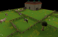 Vannah's farm containing various livestock