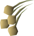 Four onion seeds