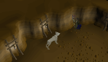 A screenshot depicting Bouncer's safespot location.