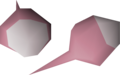 Two white rose seeds