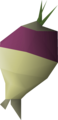 One shrunk ogleroot