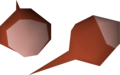 Two red rose seeds