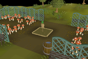 A scaregull planted around a mushroom patch.