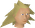 Chathead image of Lensa