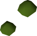 Two irit seeds