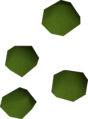 Four irit seeds