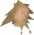 Chathead image of Bjorn