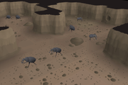 A cave filled with small scarabs in the lower level of the mastaba.