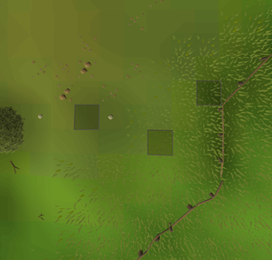 Ideal spotted kebbit training area with three spawn points in the south-eastern corner.
