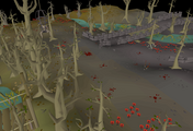 The eastern area is based on the area between Lumbridge Castle and the stone bridge just east of it.