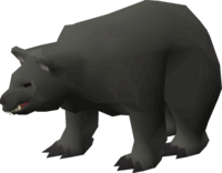 A black bear