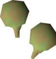 Two potato cactus seeds