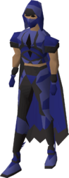 The outfit in dark blue from the Brimhaven Agility Arena.