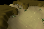 A kalphite habitat. The dead entomologist, Buggie, who brought them there, can be seen in the back.