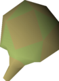 One potato cactus seed