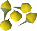 Five yellow orchid seeds