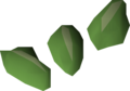 Three vine seeds