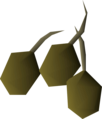 Three potato seeds