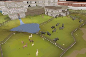 The Ortus Farm