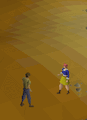 Shadow Barrage