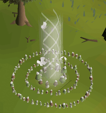 Fairy rings as they briefly appeared for a month in 2023.