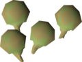 Four potato cactus seeds