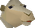 Chathead image of Ollie the Camel