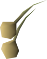 Two onion seeds
